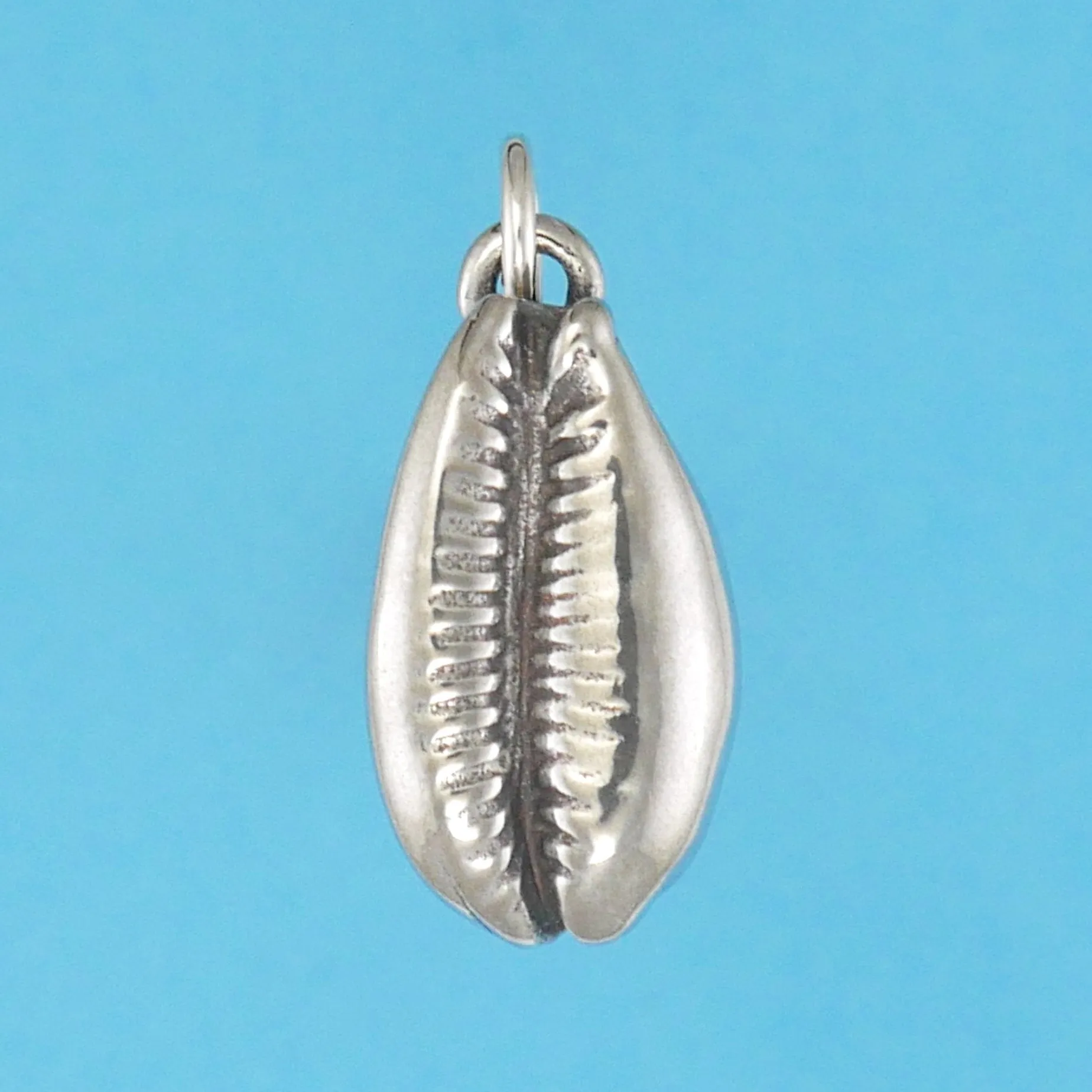 Cowrie Shell Charm