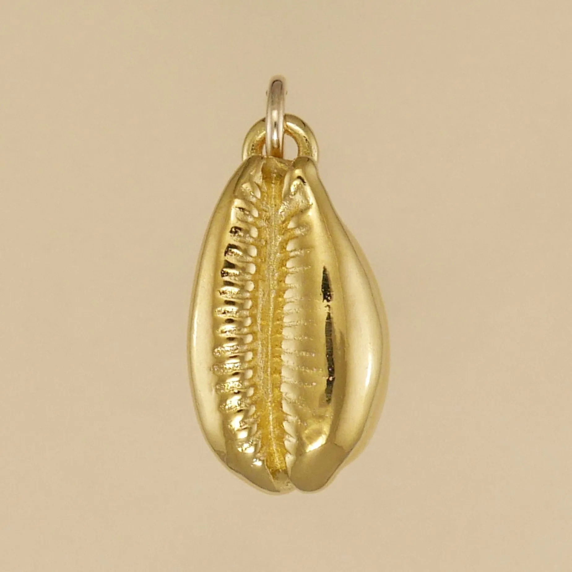 Cowrie Shell Charm