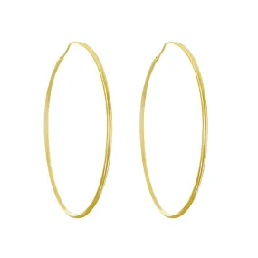 Skinny Gold Hoop Earrings Small